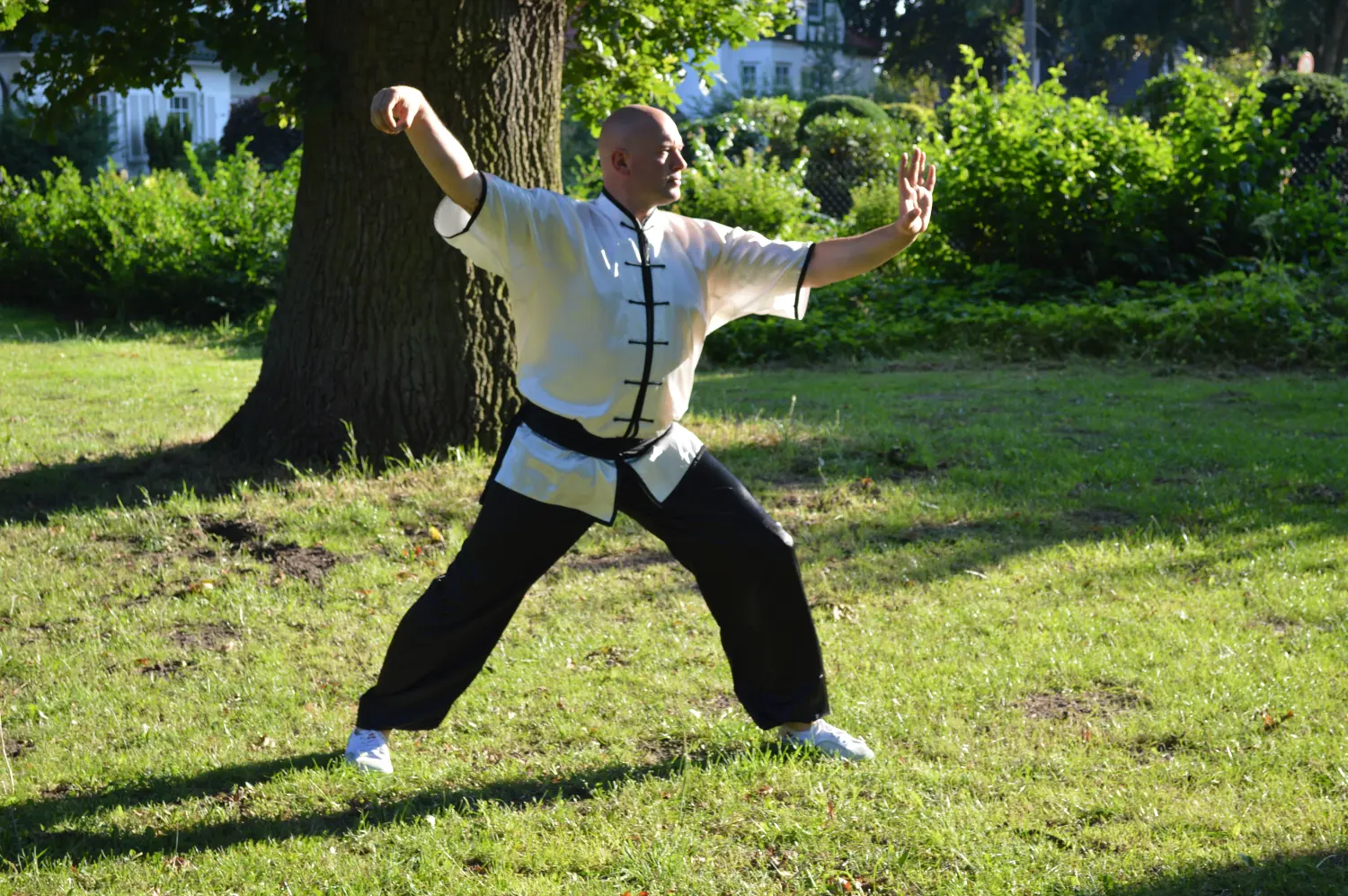 Tai Chi / Qi Gong  von Bulaimei Verein für Kampfkunst e.V. 